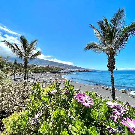 アパート Estudio Pp Sin Balcon, Con Wifi Gratis, Centrico, Piscina En Puerto De La Cruz *